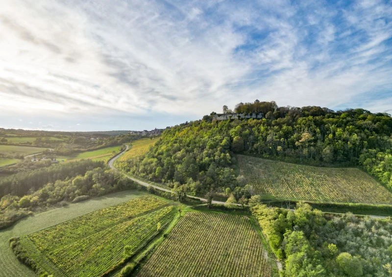 Proefdoos Maison La Croix de Montjoie - Appellation Vézelay