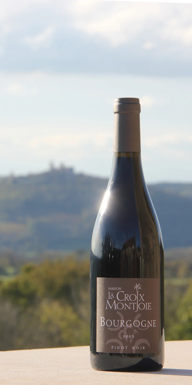 Vézelay Bourgogne Pinot Noir 2024 Rood, Domaine La Croix Montjoie