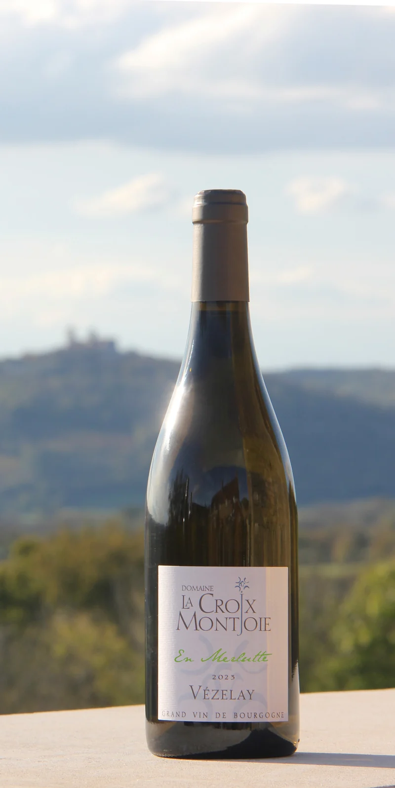 Vézelay Bourgogne Chardonnay "En Merlutte" 2023 Wit, Domaine La Croix Montjoie