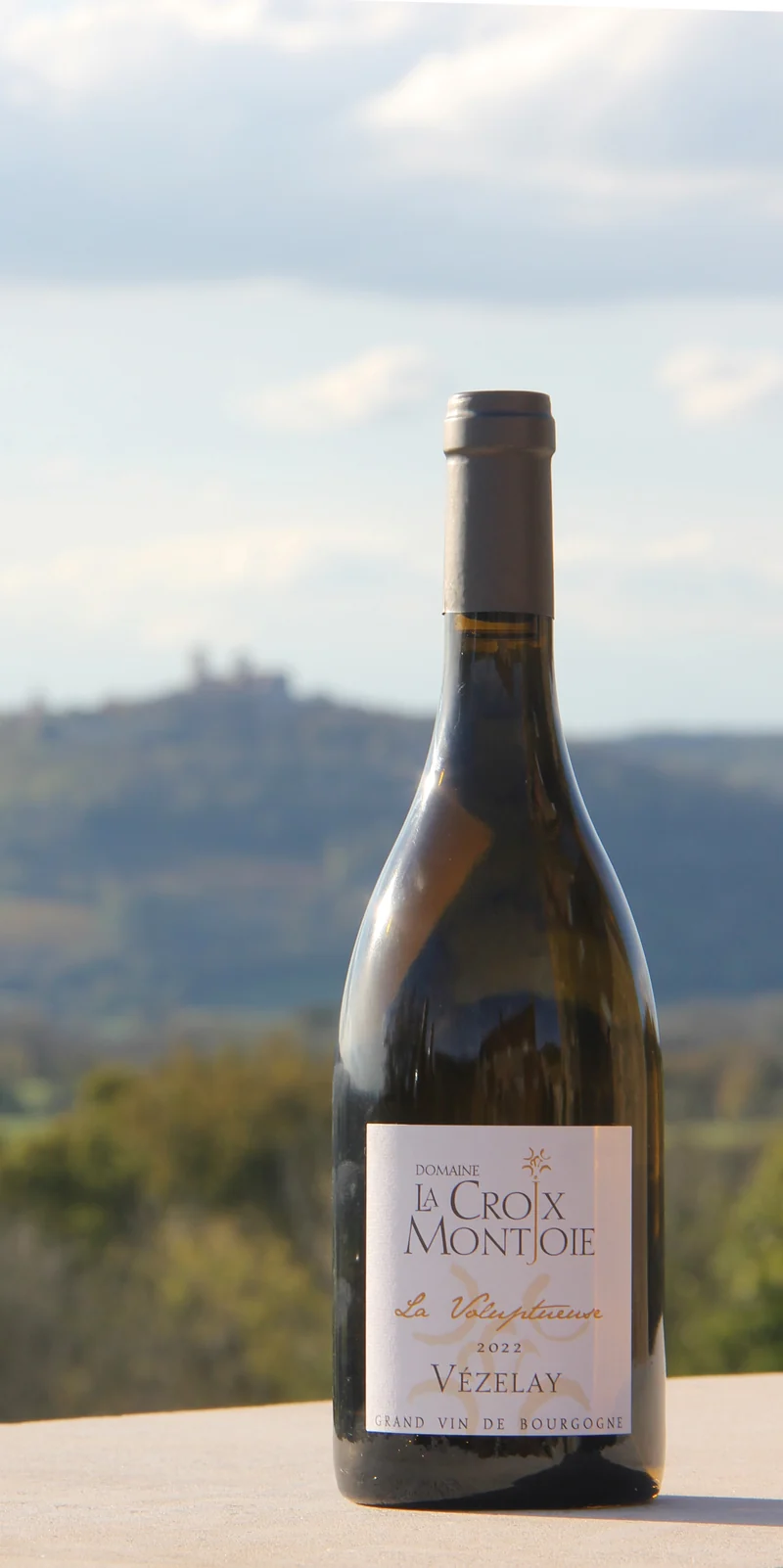 Vézelay Bourgogne Chardonnay "Volupteuse" 2023 Wit, Domaine La Croix Montjoie