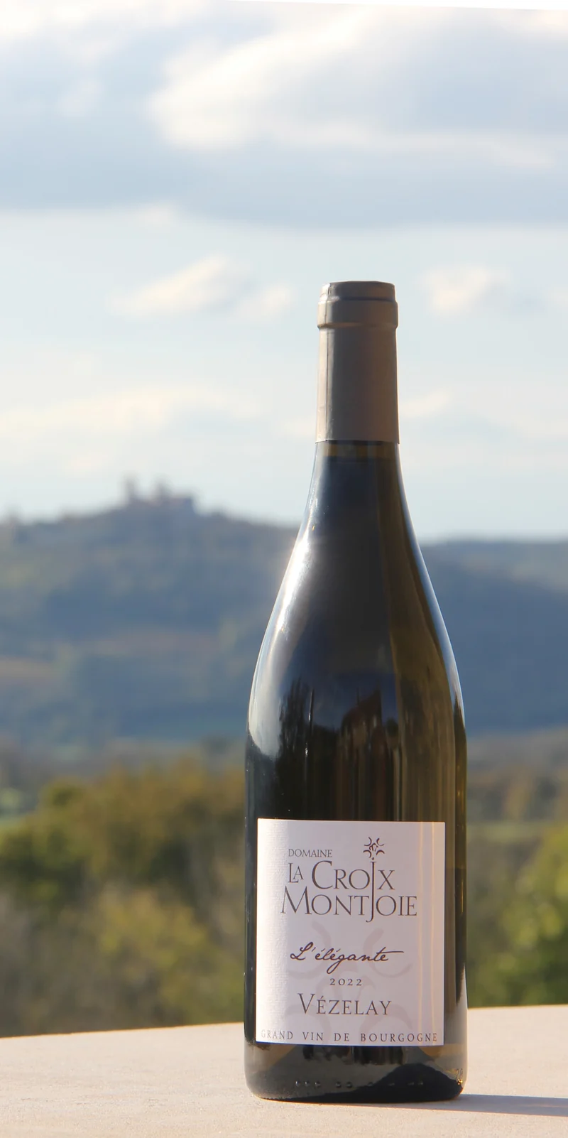 Vézelay Bourgogne Chardonnay "Elégante" 2023 Wit, Domaine La Croix de Montjoie