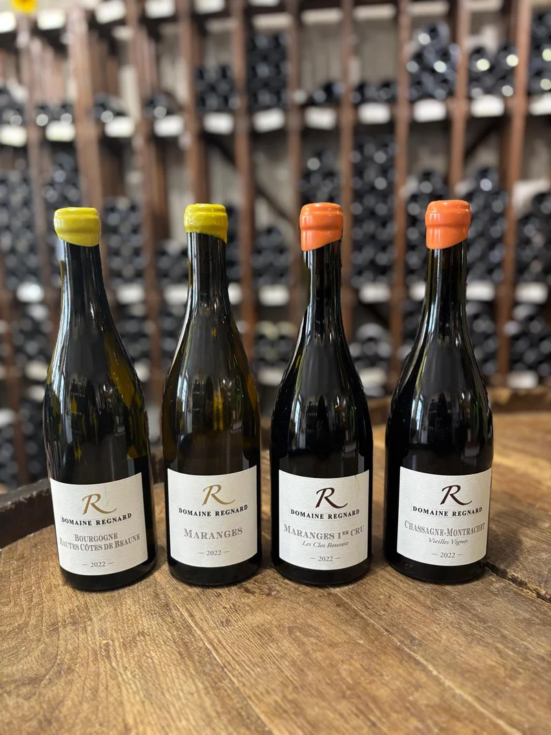 Proefdoos Domaine Regnard