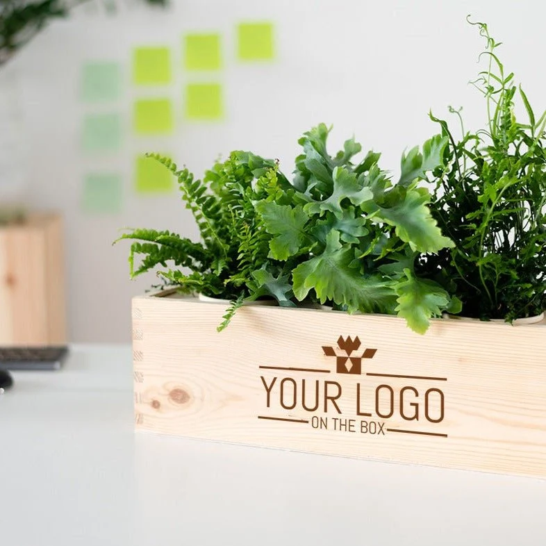 Nature out of the Box 'RADBOUD' - L