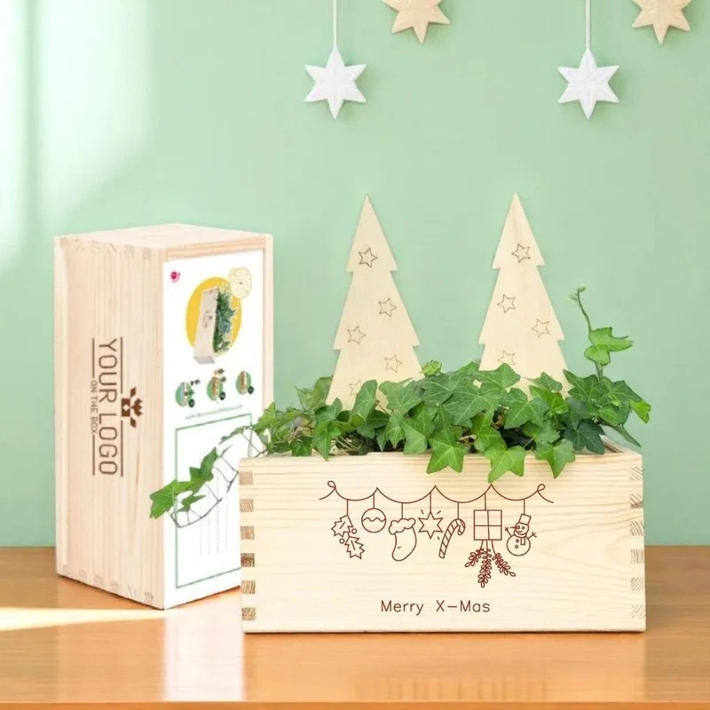 BloomsBox 'Merry Xmas' - houten kerstboompjes
