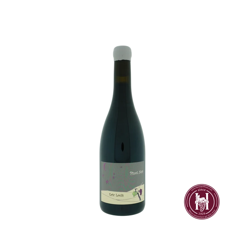 Pinot Noir Vin de France - Domaine Eric Louis - 2025 - 0.75 L - Frankrijk - Loire - Rood