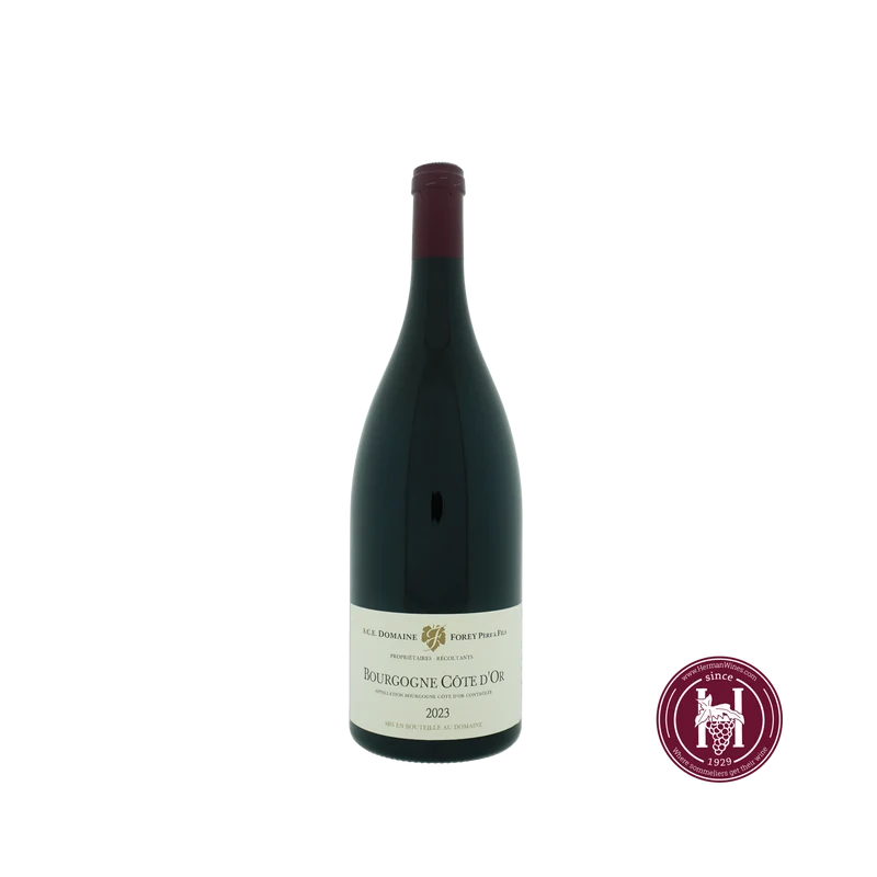 Bourgogne Cote d'Or - Domaine Forey Pere & Fils - 2022 - 1.5 L - Frankrijk - Bourgogne - Rood