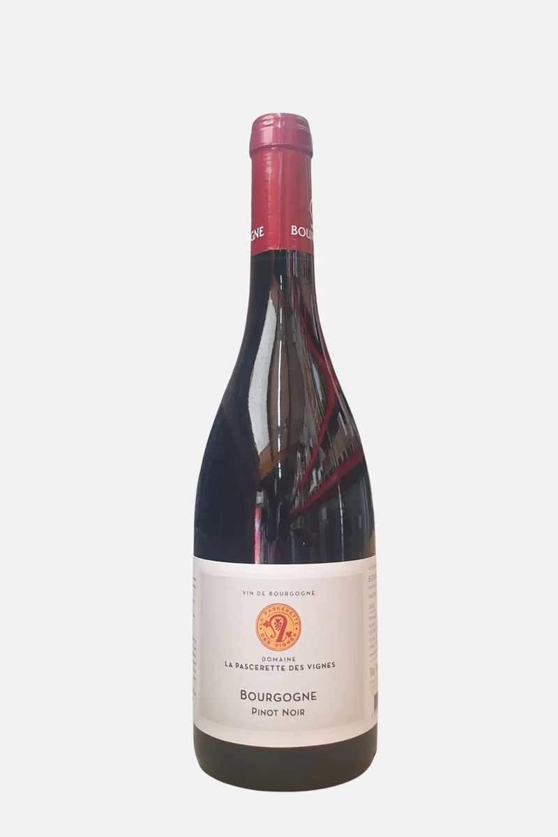 Bourgogne Pinot Noir 2023 Rood, Domaine La Pascerette des Vignes