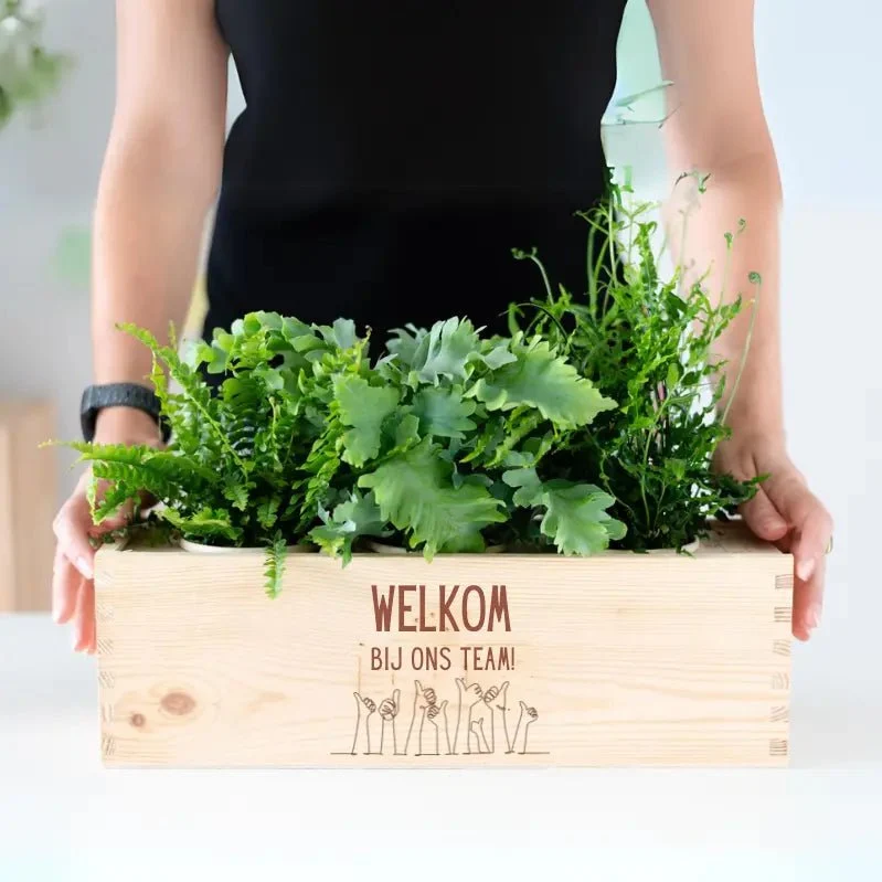 BloomsBox 'Welkom' - L