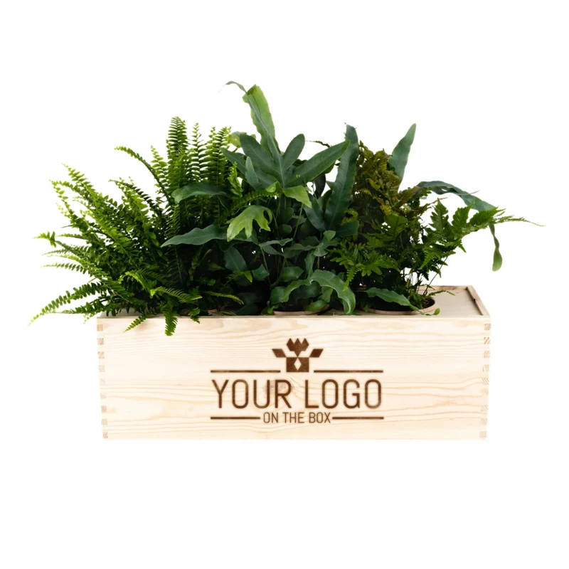 Nature out of the Box - XL (vanaf 10)
