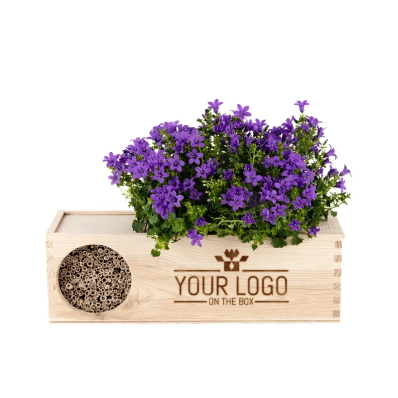 Blooms & Bees out of the Box - L