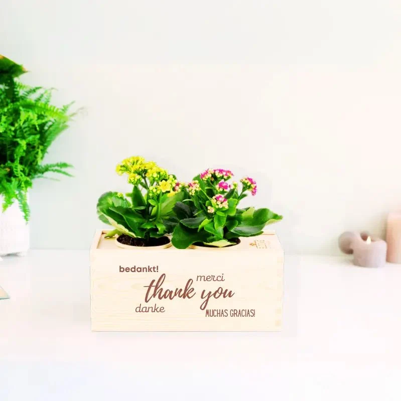 BloomsBox 'Bedankt' - M