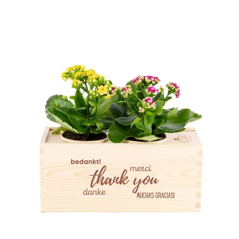 BloomsBox 'Bedankt' - M
