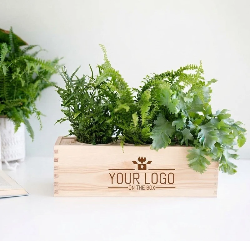 Nature out of the Box - L (vanaf 10)