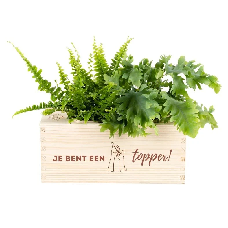 BloomsBox 'Je bent een topper!' - M