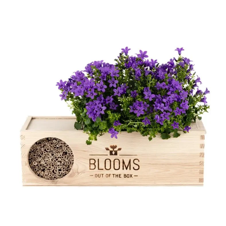 Blooms & Bees Original