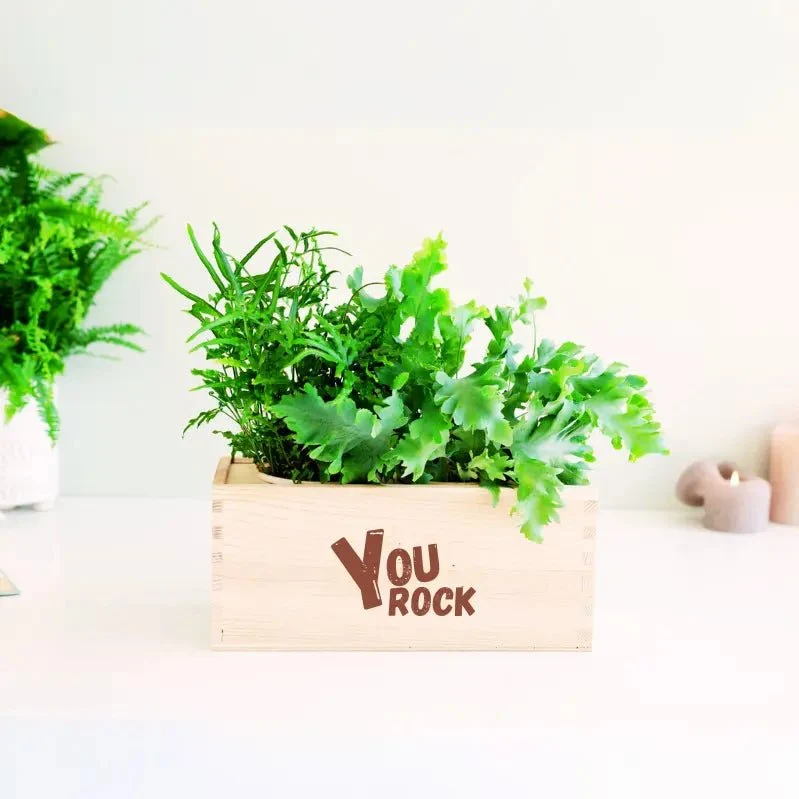 BloomsBox 'You rock' - M