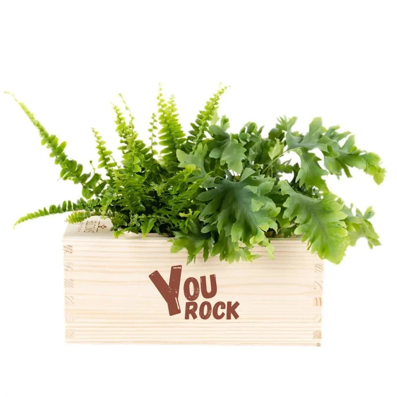 BloomsBox 'You rock' - M
