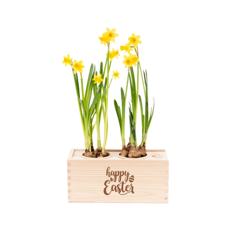 BloomsBox 'Happy Easter' - M
