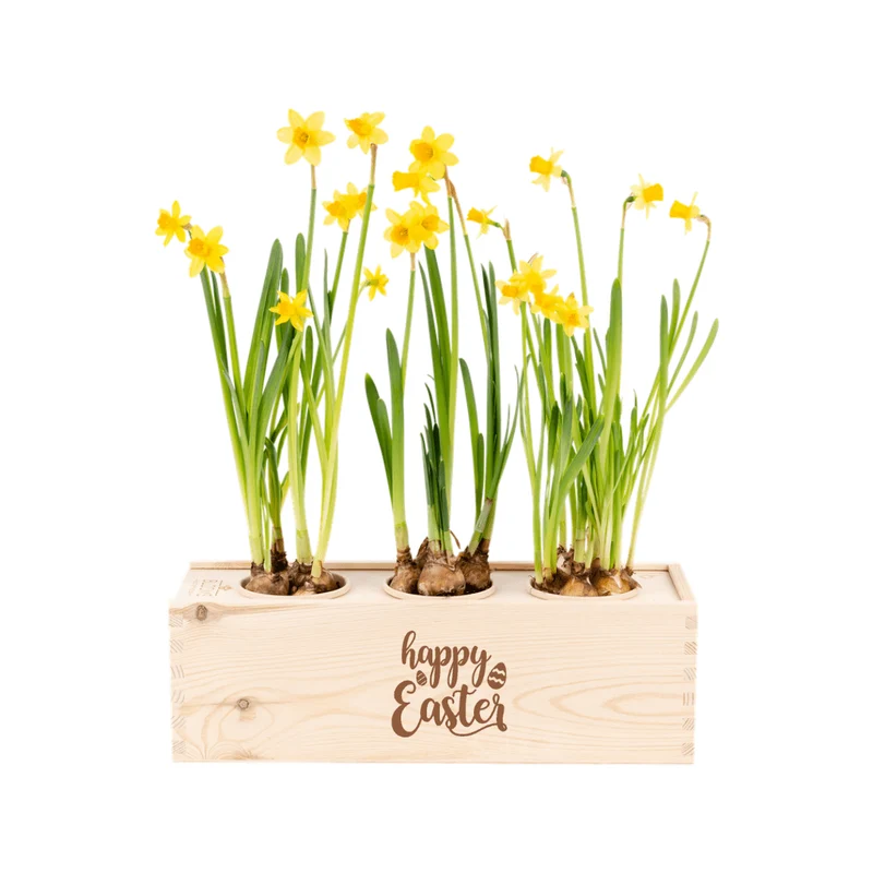 BloomsBox 'Happy Easter' - L