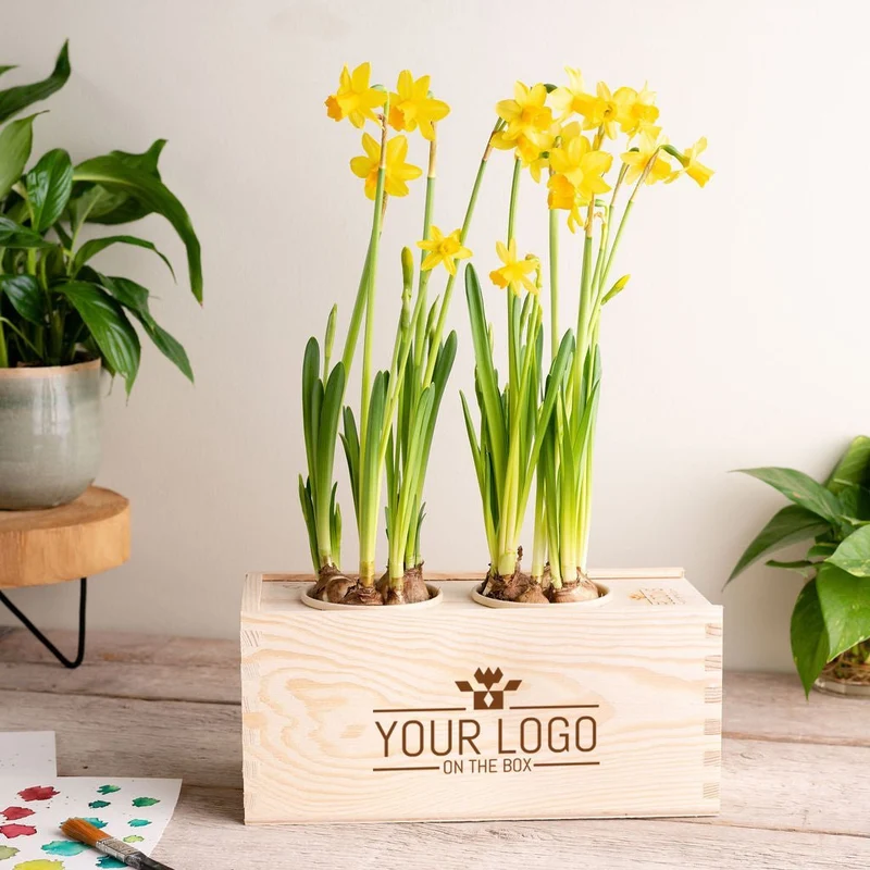 Spring out of the Box 'your design' - M