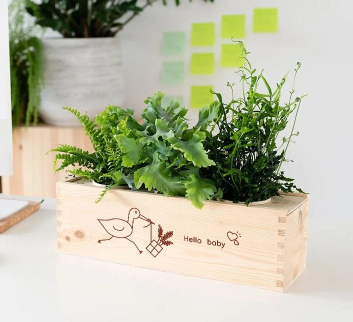 Maak kennis met de BloomsBox!