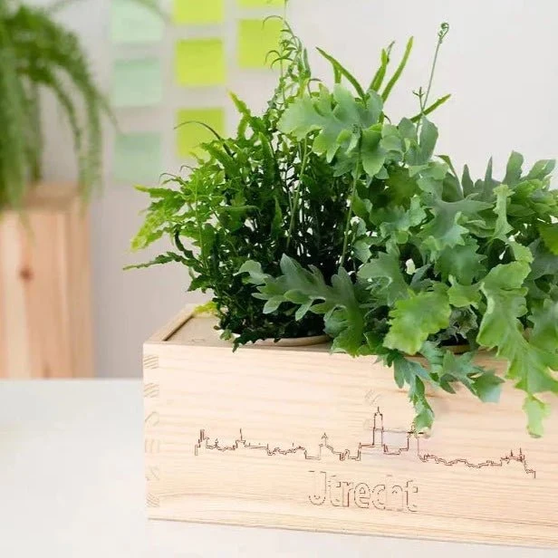 BloomsBox 'Skyline Utrecht' - M