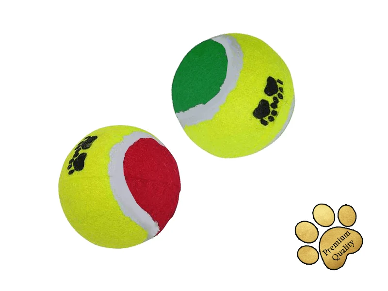 Honden tennisbal premium set van 2