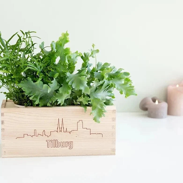 BloomsBox 'Skyline Tilburg' - M