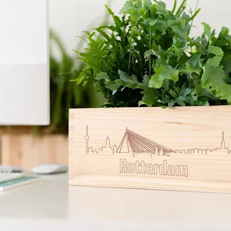 BloomsBox 'Skyline Rotterdam' - M