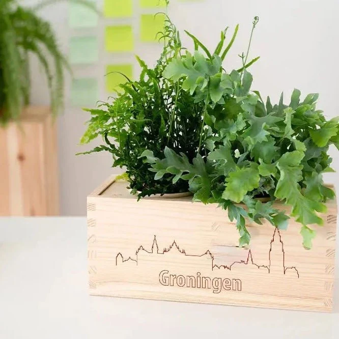 BloomsBox 'Skyline Groningen' - M