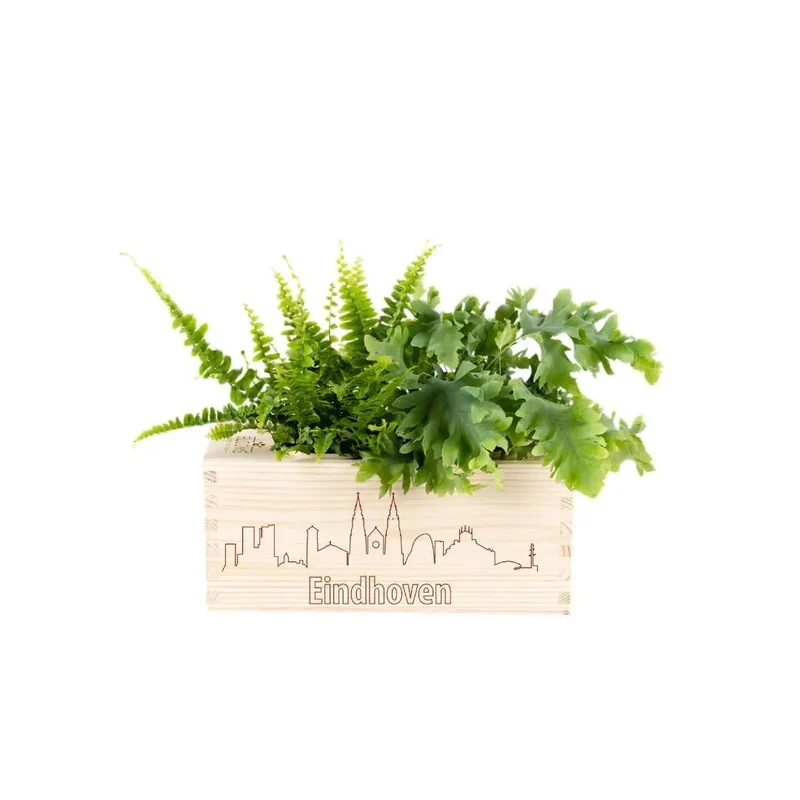 BloomsBox 'Skyline Eindhoven' - M