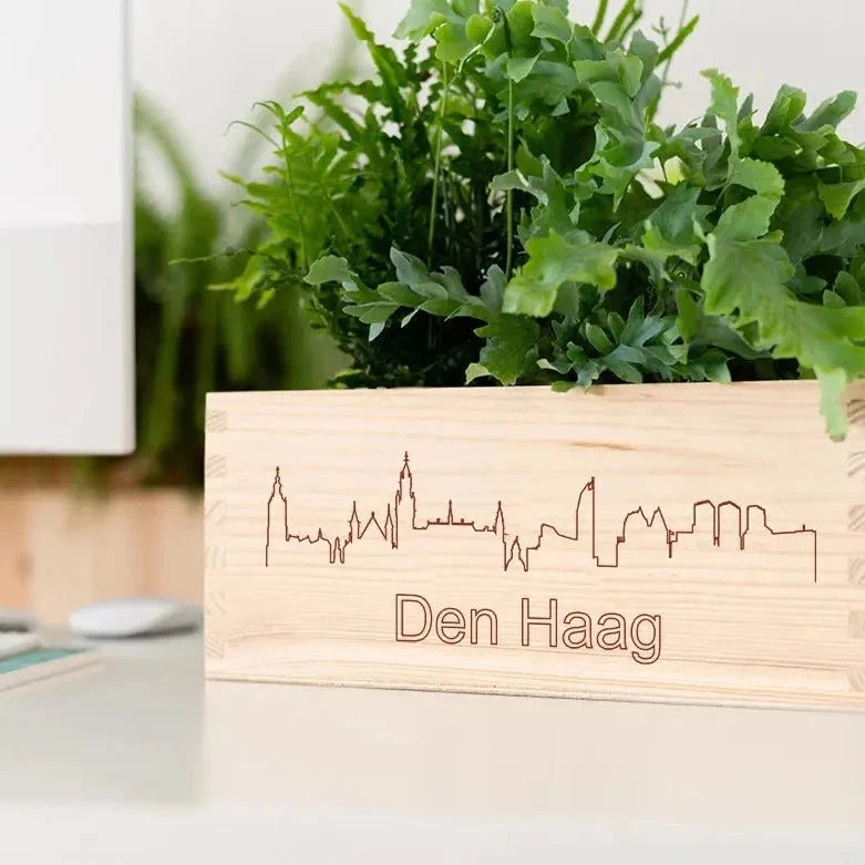 BloomsBox 'Skyline Den Haag' - M