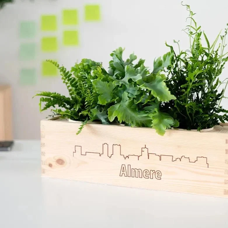 BloomsBox 'Skyline Almere' - M