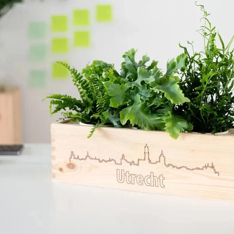 BloomsBox 'Skyline Utrecht' - L