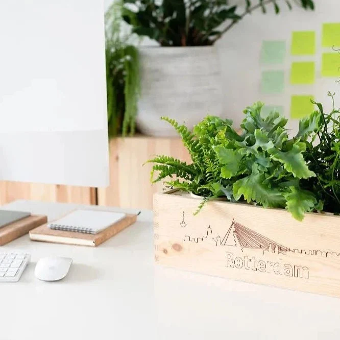 BloomsBox 'Skyline Rotterdam' - L