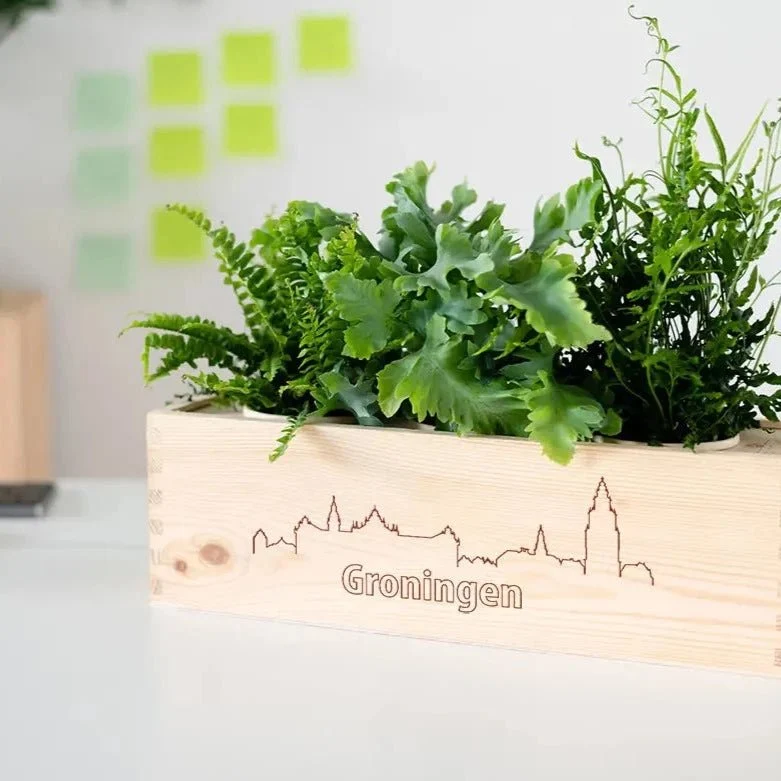 BloomsBox 'Skyline Groningen' - L