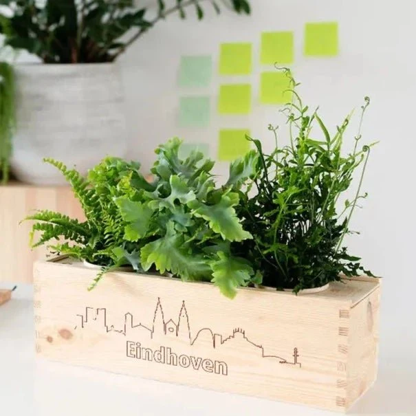BloomsBox 'Skyline Eindhoven' - L
