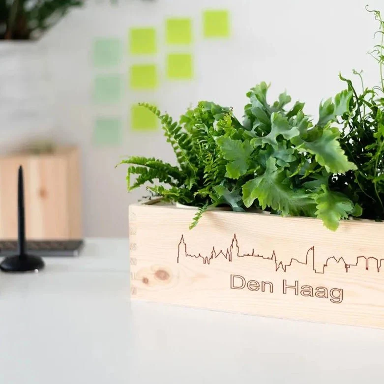 BloomsBox 'Skyline Den Haag' - L