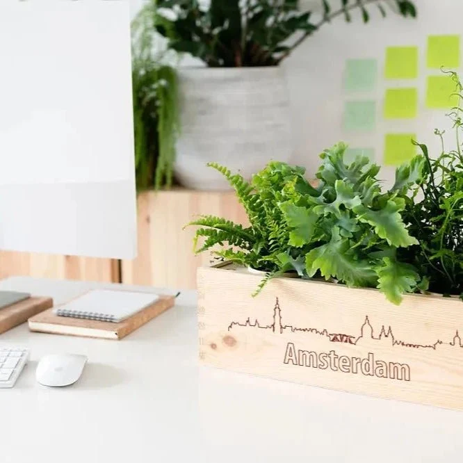BloomsBox 'Skyline Amsterdam' - L