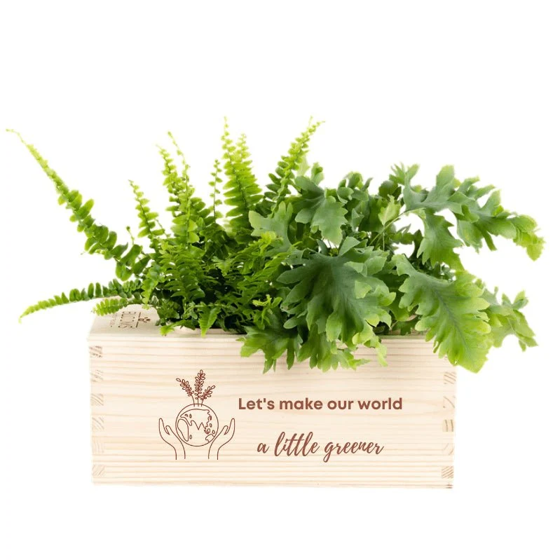BloomsBox 'Greener planet' - M
