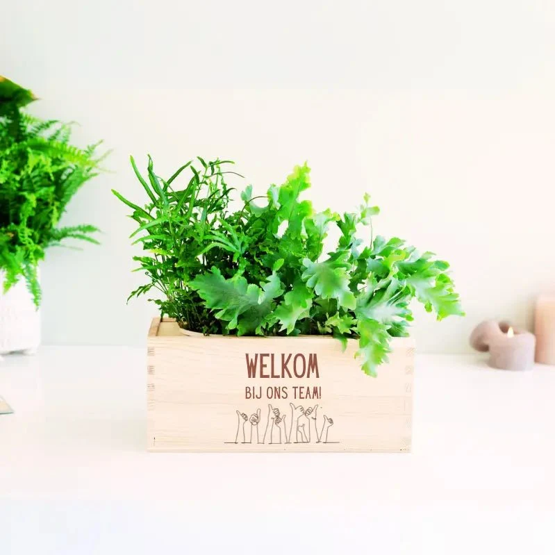 BloomsBox 'Welkom' - M