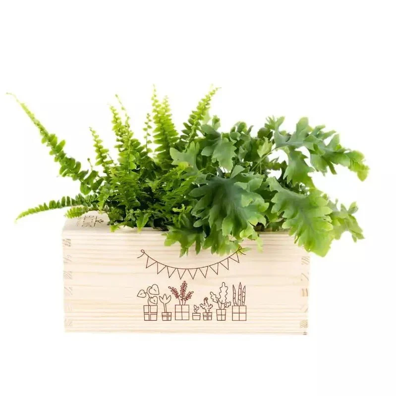 BloomsBox 'Gefeliciteerd' - M