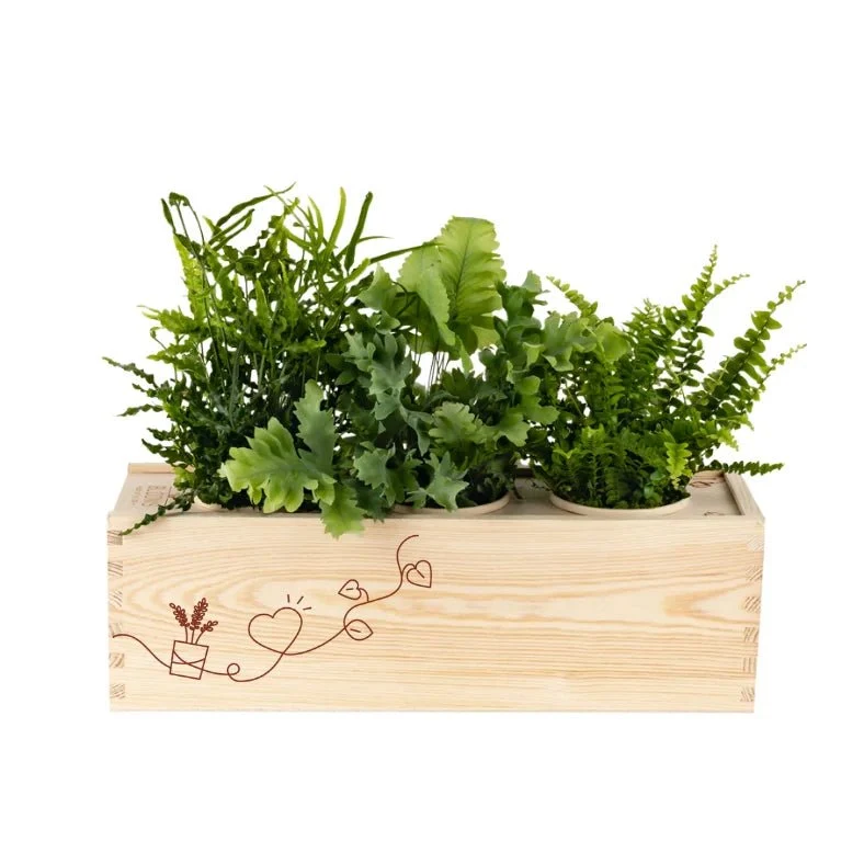 BloomsBox 'Denk aan je' - L