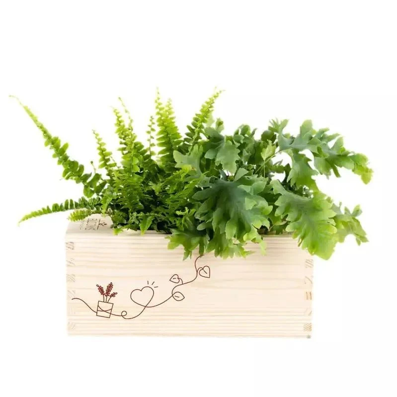 BloomsBox 'Denk aan je' - M