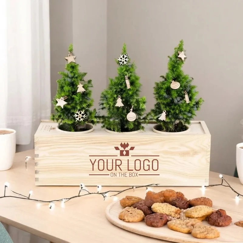 Xmas out of the Box - Decorations (vanaf 10)