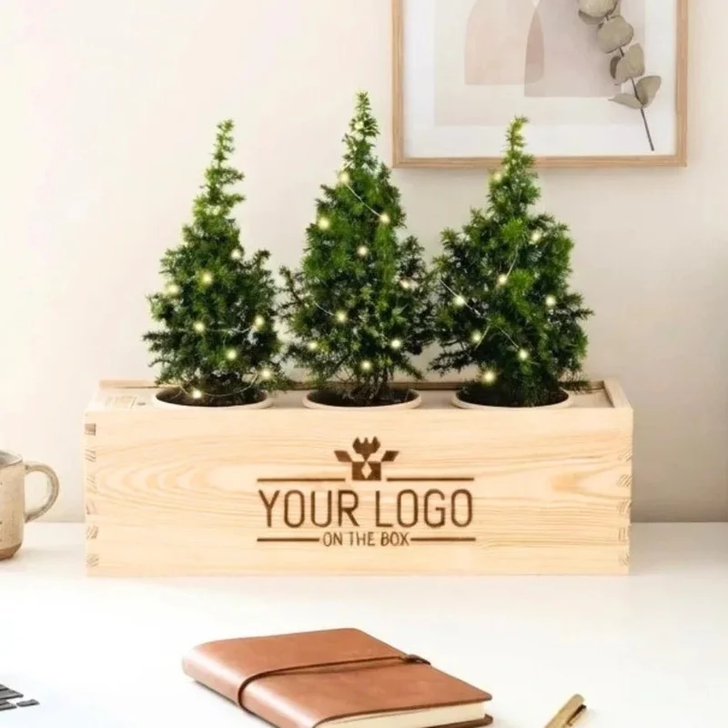 Xmas out of the Box - Lights (vanaf 10)