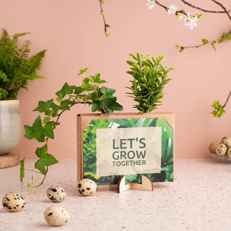 Nature out of the Box - Mini