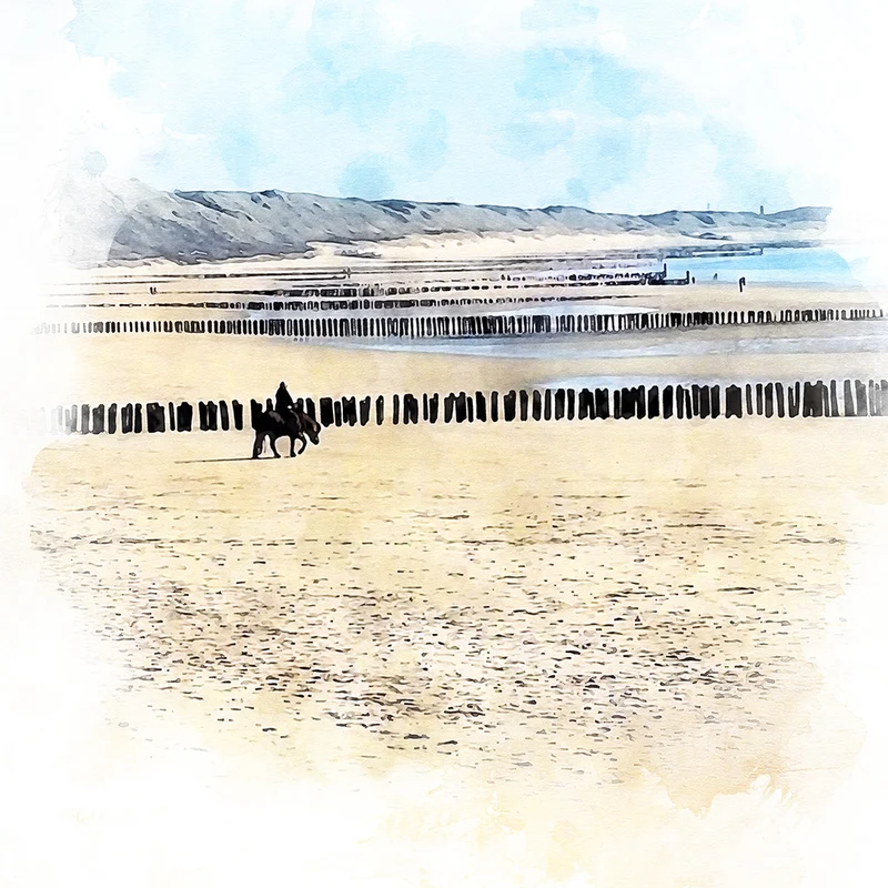 Canvas schilderij 20 x 20 cm Walcheren - Zeeland - strand met Paard