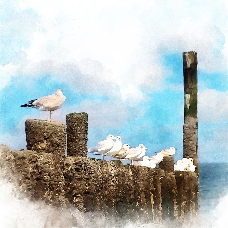 Canvas schilderij 20 x 20 cm Walcheren - Zeeland - Paalhoofd