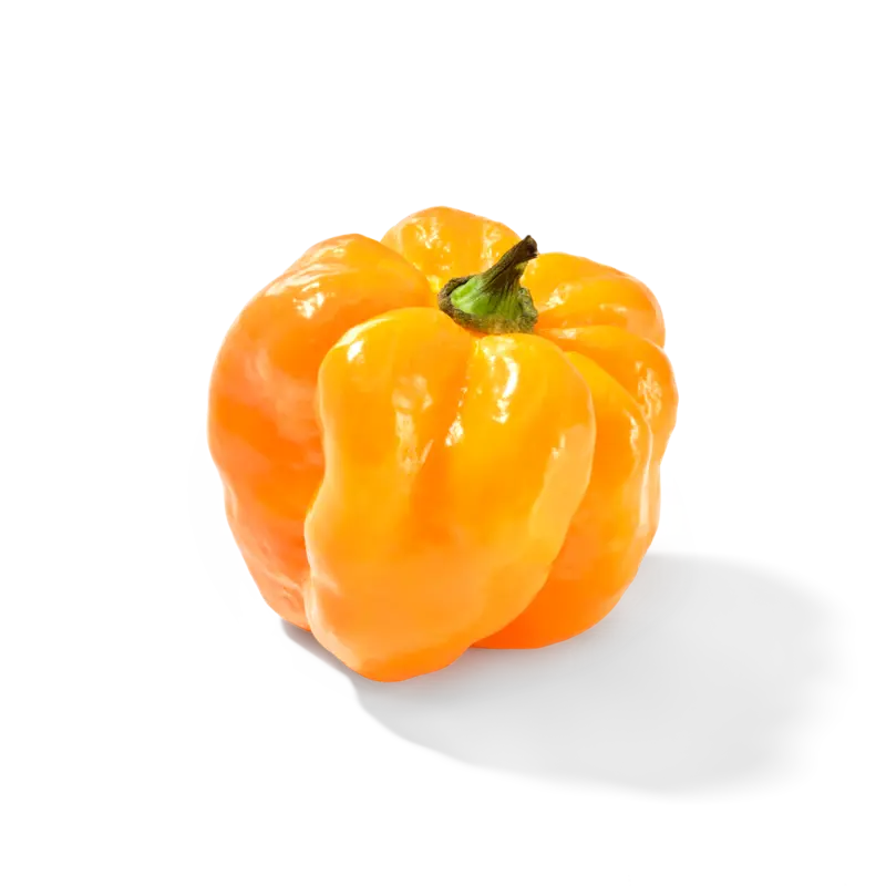 Adjuma peper